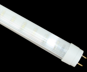 eLite iBright T8 60cm, 32x SMD LED, bílá