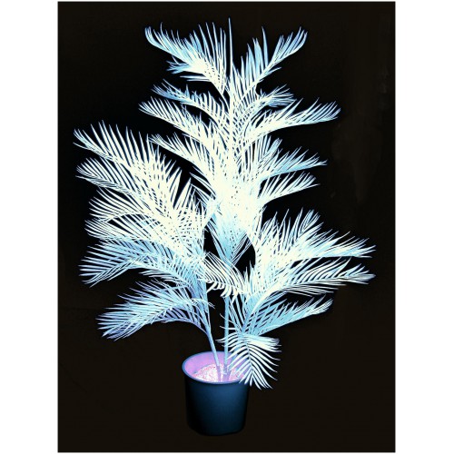 UV Kentia, 170cm